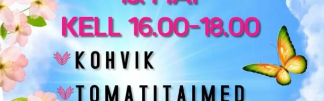 Lastetare lasteaia kevadlaat