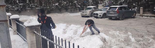 VIDEO ja FOTOD | Ettevõtted kühveldasid lund puhastatud bussipeatusse. Esindajad_ me ei häirinud jalakäijaid kuidagi