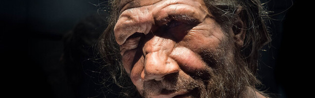 Geeniteadlane: neandertali inimeselt päritud DNA soodustab alkoholismi