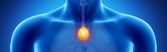 Vananemisega seotud tüümuse ealised muutused ning vajadus vaktsineerimise järele