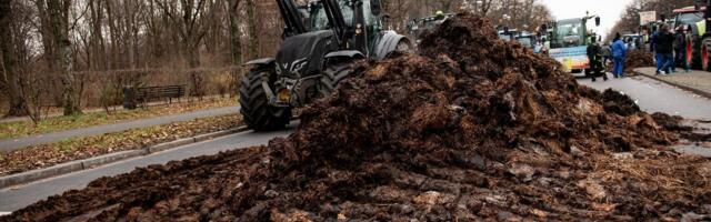 Põllumehed laotasid Berliini tänavatele sõnnikuhunnikuid