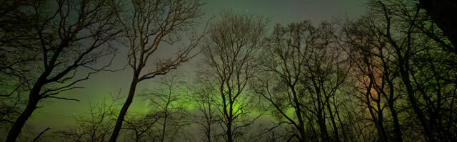 Ela Augustin Linkrus NÄDALA FOTO