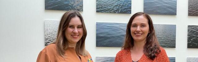 Birgit Lao: kriisikogemus tuleb suunata teenuste tugevdamisele