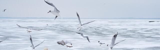 KEELATUD. Piiriveekogu jääle tänasest enam ei pääse