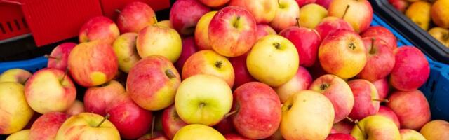 HINNAÜLEVAADE | Õuna hind on märkimisväärselt kallinenud