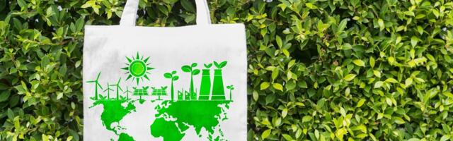 Kaisa Ling: riidest poekottide promomine keskkonda ei päästa