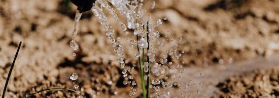 Viimsi on veekriisi lävel