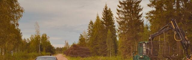 Soome metsandusekspert_ teeäärsed kaasikud vähendaksid ulukiõnnetusi