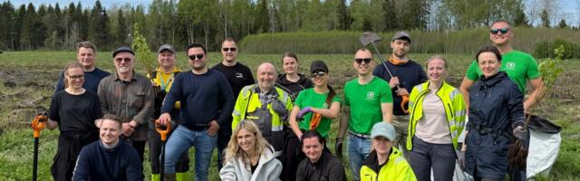 Viie aastaga 35 000 puud: pakendiringlusest sai metsaistutus