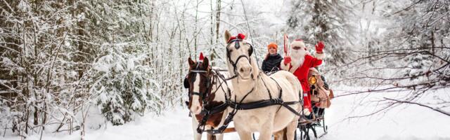 Jõulumaa avab uksed jõuluelamusteks Põlvamaal