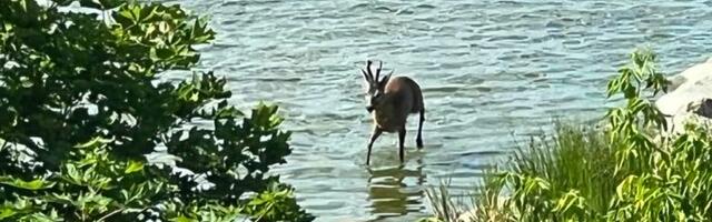 Sirkka-Liisa Meetua NÄDALA FOTO