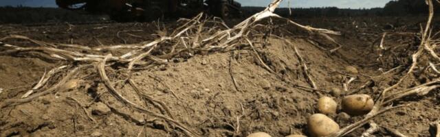 Euroopa Komisjon on EL riikide põllumajanduse hävitamise suhtes südikas