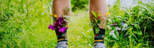 Planeeri lilleaega targalt: kõik püsikud ei sobi igasse aeda