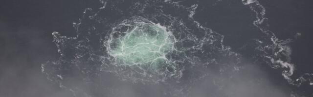 Nord Streami gaasitorude õhkulaskmises kahtlustatav võitleb enda Saksamaale väljaandmise vastu Itaalia kõrgeimas kohtus