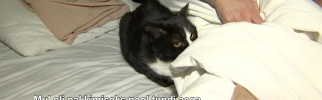 Reporter: Kassiga hotellis: Ukraina sõjapõgenik Inna puistab südant