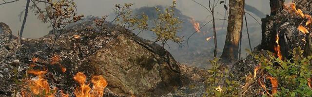 Päästeliit hoiatab: kulutuli levib kiiremini kui inimese võimekus selle eest ära joosta