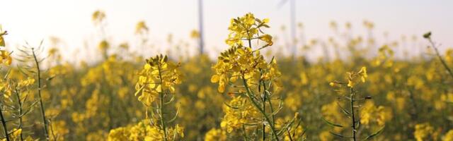 KPMG eksperdid: süsiniku nullheiteni viib vaid enneolematu innovatsioon