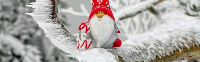 TULEKUL! Mustamäel avatakse kolmapäeval muinasjutuline jõulumaa