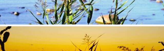 Jaanus Volmre NÄDALA FOTOD