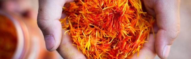 Tehisintellekt hakkab laboris kasvatama maailma kalleimat maitseainet