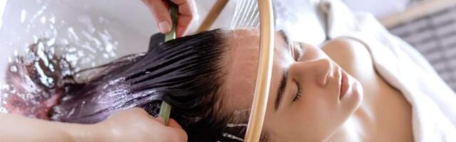 Висагинасу – 50! Терапия души