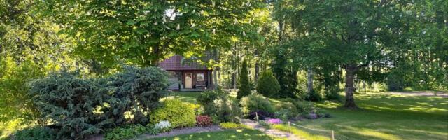 Muru rajamise ABC: kuidas luua vastupidav ja kaunis kodumuru?