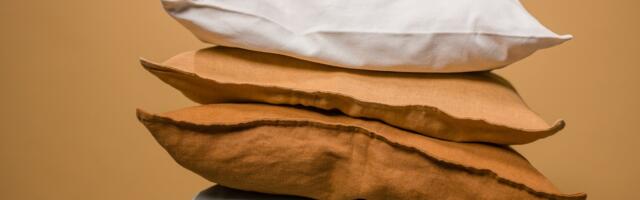 Lõuna prefektuur: padi alajahtumisest ei päästa!