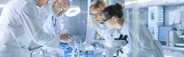 VÄRSKE UURING ⟩ Teadlased leidsid, et just selle populaarse toiduaine söömine vähendab dementsuse riski