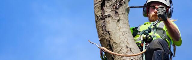 Täna, 17. septembril esineb liikluses muudatusi Valga linnas Võru tänaval Kaitseliidu Valgamaa maleva juures!