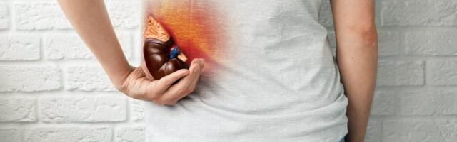 Kas neerukivid võivad põhjustada neerupuudulikkust?