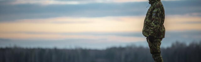 Lauri Tõnisson programmeerimise mikrokraadiprogrammist: tulemusteni viib järjekindlus