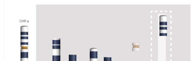 Turus saavad arstitudengid õppemängude abil õpitut kinnistada