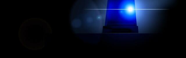 FBI ja Eesti politsei võtsid kinni IT-firmade TOPi võitjad. Kahjusumma 575 miljonit dollarit