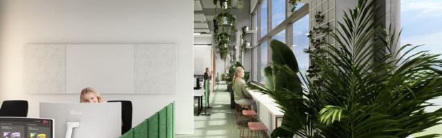 Katusel grilliala, saun, lõkkeplats. "Kontor annab meile võimaluse püsida konkurentidest ees"