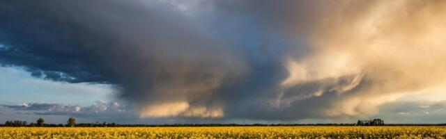 Erakorralist toetust makstakse 3,3 miljoni euro eest