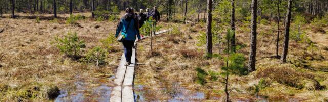 RMK kutsub koolivaheajal loodust avastama