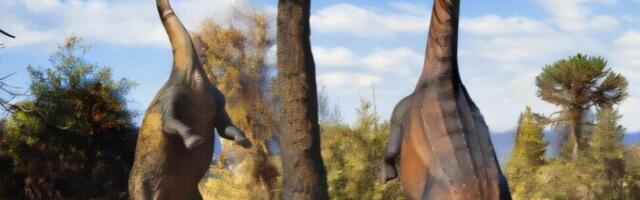 Mõned neljajalgsed dinosaurused upitasid end sageli kahele jalale püsti