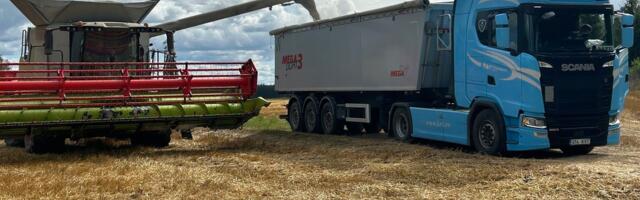 Legendaarne ´Sangaste´ jäi taas üksi – hübriidrukkid võtsid viljelusvõidu