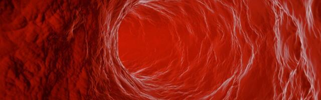 Kaitsmisele tuleb doktoritöö laste arterite struktuuri ja funktsiooniga seonduvatest teguritest