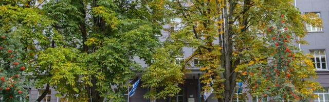 Tallinna koolis kukkus aknast alla 17-aastane noormees
