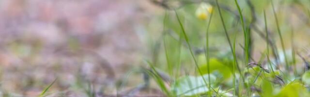 FOTOD | Fotokonkursi Vereta jaht 2025 parimad said täna pärjatud