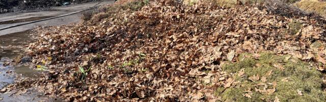 Lõuna-Eesti päästjad said väljakutsed Võrust ja Tartumaalt