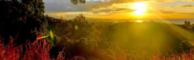 What today brings: Sunday, June 7, 2026