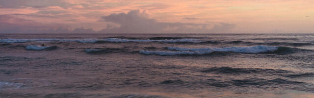 Tallinnas tuvastati hooaja esimesed sinivetikad