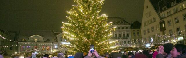 Raekoja plats täitub reedel kuusesäraga. Jõuluaja avapeol saab nautida gospelmuusikat koos Tanja Mihhailova-Saare ja Ott Leplandiga