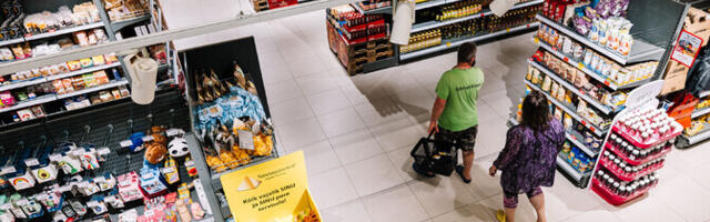 Счетная палата: в Европе нет единой системы маркировки продуктов, а этикетки обманывают людей