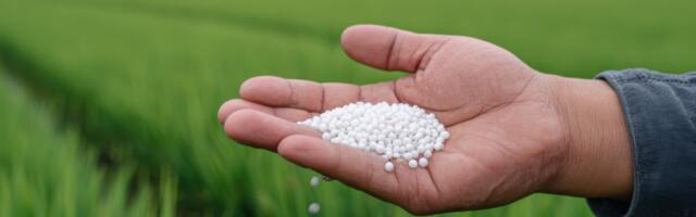 Väetiseaktsiad sööstsid Hormuzi väina blokaadi tõttu kõrgustesse