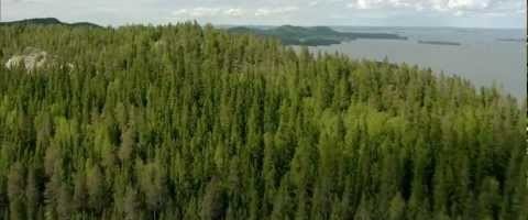 J.Sibelius - FINLANDIA