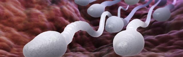 Keskkonnasäästlik naine kogub spermat ja kutsub teisigi üles