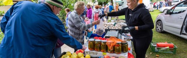 Õunafestivali tõdemus: osta õunte asemel hoopis oma õunapuu